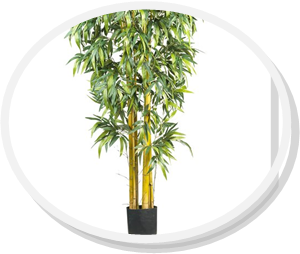 bamboo 3 gallon pots